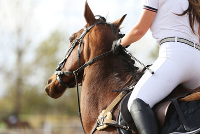 Midsection of man riding horse