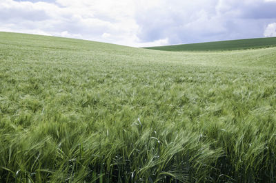 Scenic view of grassy field against cloudy sky