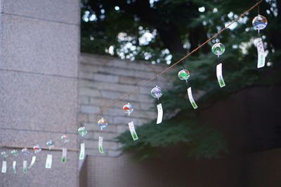 Close-up of bubbles hanging on tree