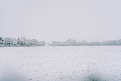 Scenic view of field against clear sky during winter