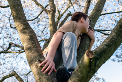 Low angle view of man sitting on tree trunk