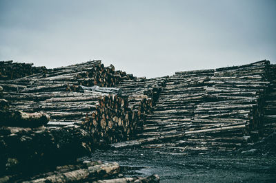 Piles of wood logs 