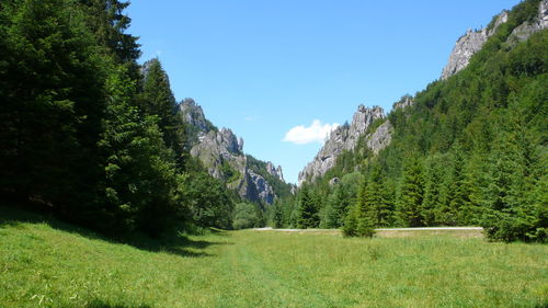 Grassy field by mountains against sky