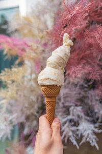 Cropped hand holding ice cream cone against plants