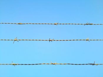 Low angle view of barbed wire against clear sky