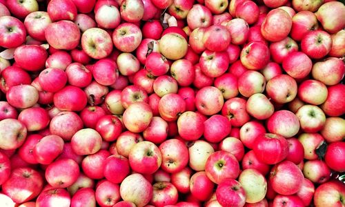 Full frame shot of apples