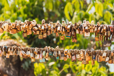 Close-up of padlocks hanging on wood