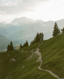 Scenic mountain views while hiking in the swiss mountains in summer. shot on kodak portra 400 film.