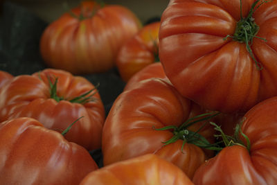 Close-up of oranges