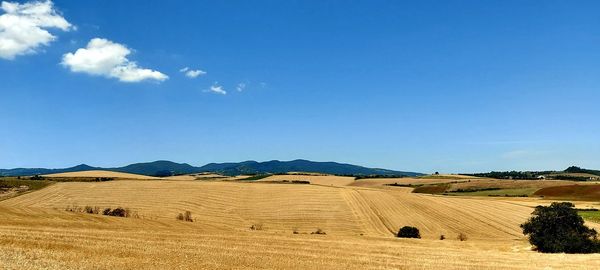 Hay bales on field against blue sky