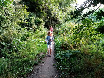 Rear view of women walking on footpath in forest