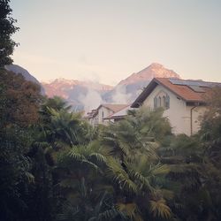 Houses and trees against sky