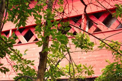 Low angle view of house and tree against building