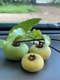 Close-up of apples on table