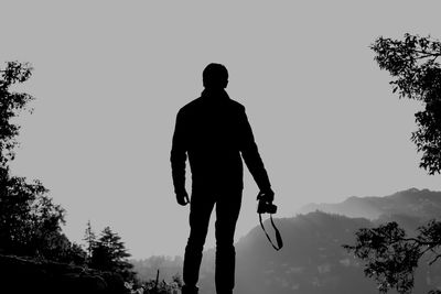 Silhouette of woman standing on tree