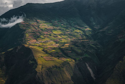 Scenic view of agricultural field