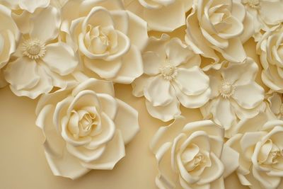 High angle view of white roses