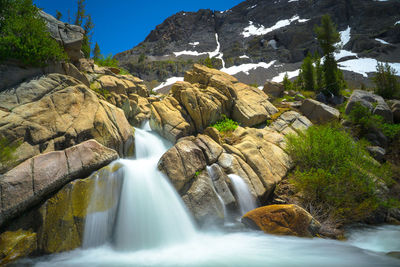 Scenic view of waterfall in forest