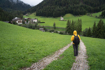 Rear view of man walking on field