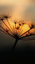 Scenic view of sky at sunset