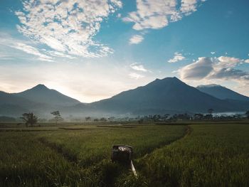 Scenic view of agricultural field against sky