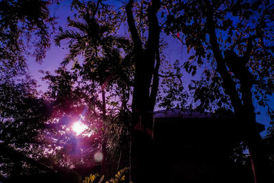 Low angle view of silhouette trees against sky at night