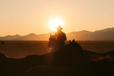 Side view silhouette of horseman in hat under cloudless sky in sundown in countryside