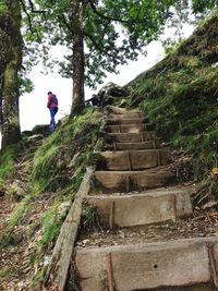 Rear view of man on staircase in forest