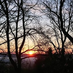 Silhouette bare trees against sky during sunset