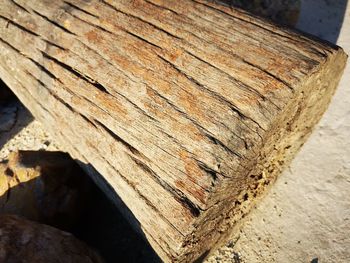 Close-up of wooden log