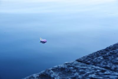 Close-up of boat floating on sea against sky