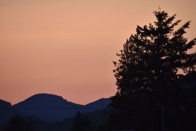 Silhouette trees against clear sky at sunset