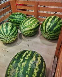 High angle view of pumpkins on table