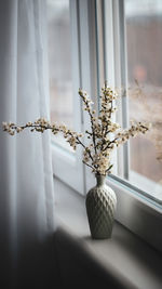 Close-up of white flowers on window sill