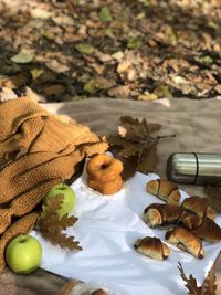 High angle view of food on blanket