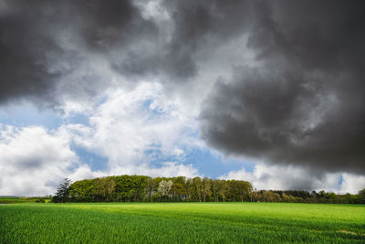 sky