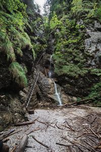 Waterfall in forest