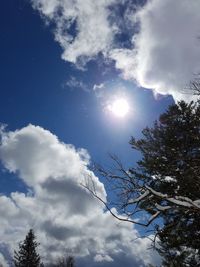 Low angle view of trees against cloudy sky