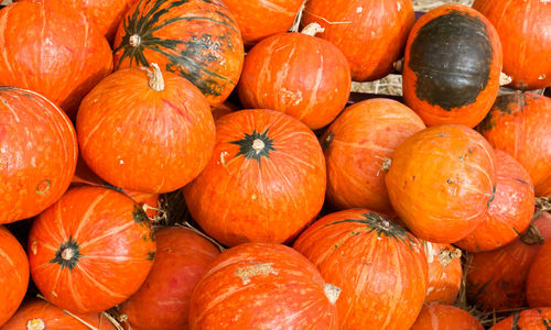 Full frame shot of pumpkins at market