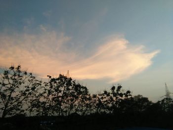 Low angle view of silhouette trees against sky during sunset