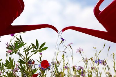 Low angle view of red cans watering plants against sky