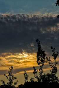 Low angle view of silhouette trees against sky during sunset