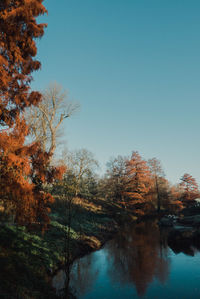 Scenic view of lake against clear sky during autumn