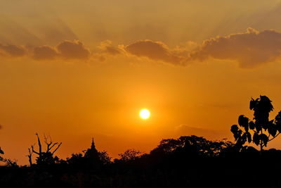 Silhouette trees against sky during sunset