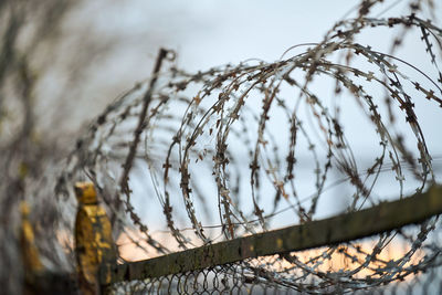 Close-up of barbed wire fence against sky