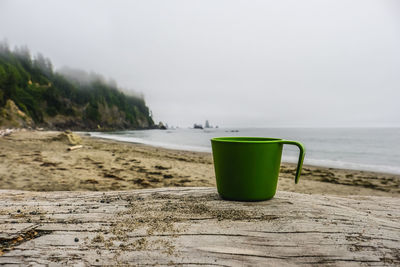 Green drinking water on beach against sky