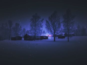 Trees on snow field against sky at night