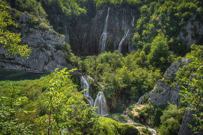 Scenic view of waterfall in forest