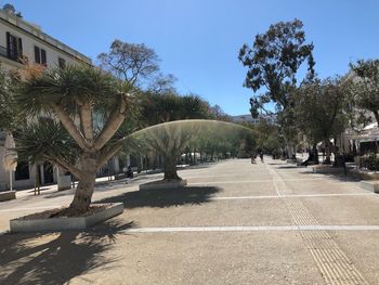 Trees in park against sky