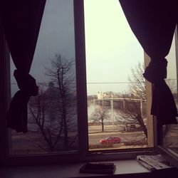 Woman standing on tree trunk